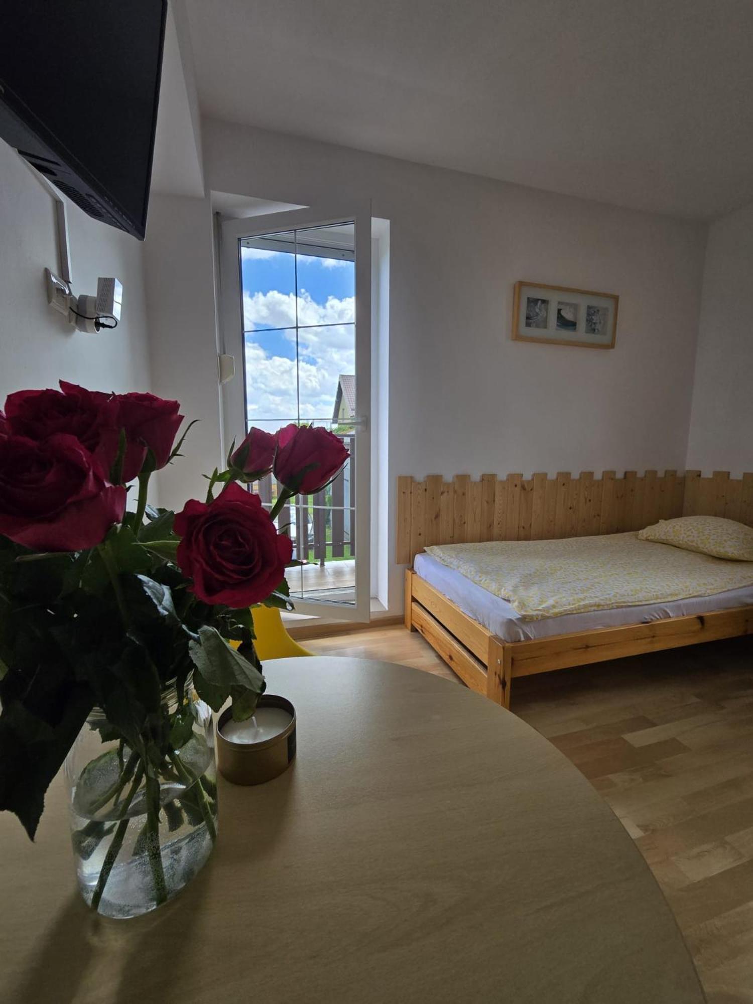 Villa Mango Wladyslawowo Chlapowo Kültér fotó